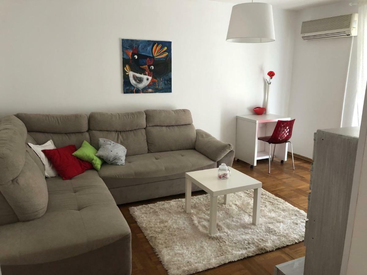 Apartment Safran Novigrad  Екстер'єр фото